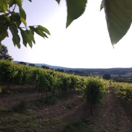 Les Du Mont Ventoux Vakantiehuis Bédoin