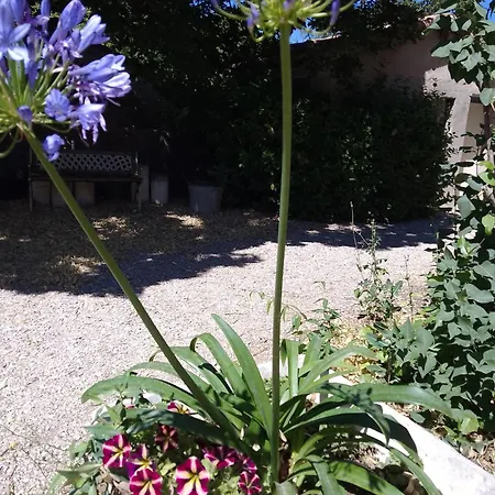 Les Du Mont Ventoux *