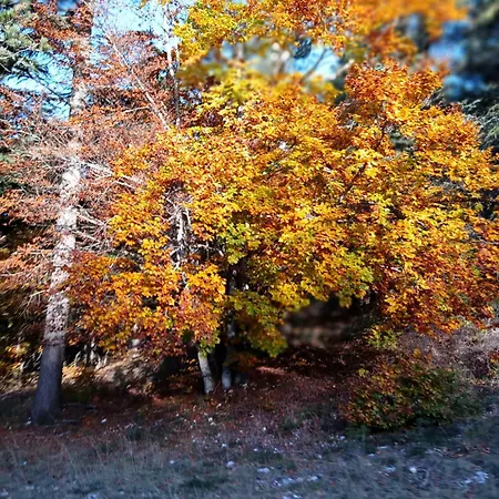 Les Du Mont Ventoux Vakantiehuis