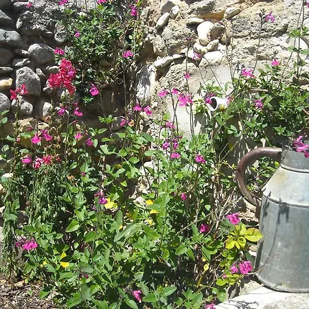 Vakantiehuis Les Du Mont Ventoux Bédoin